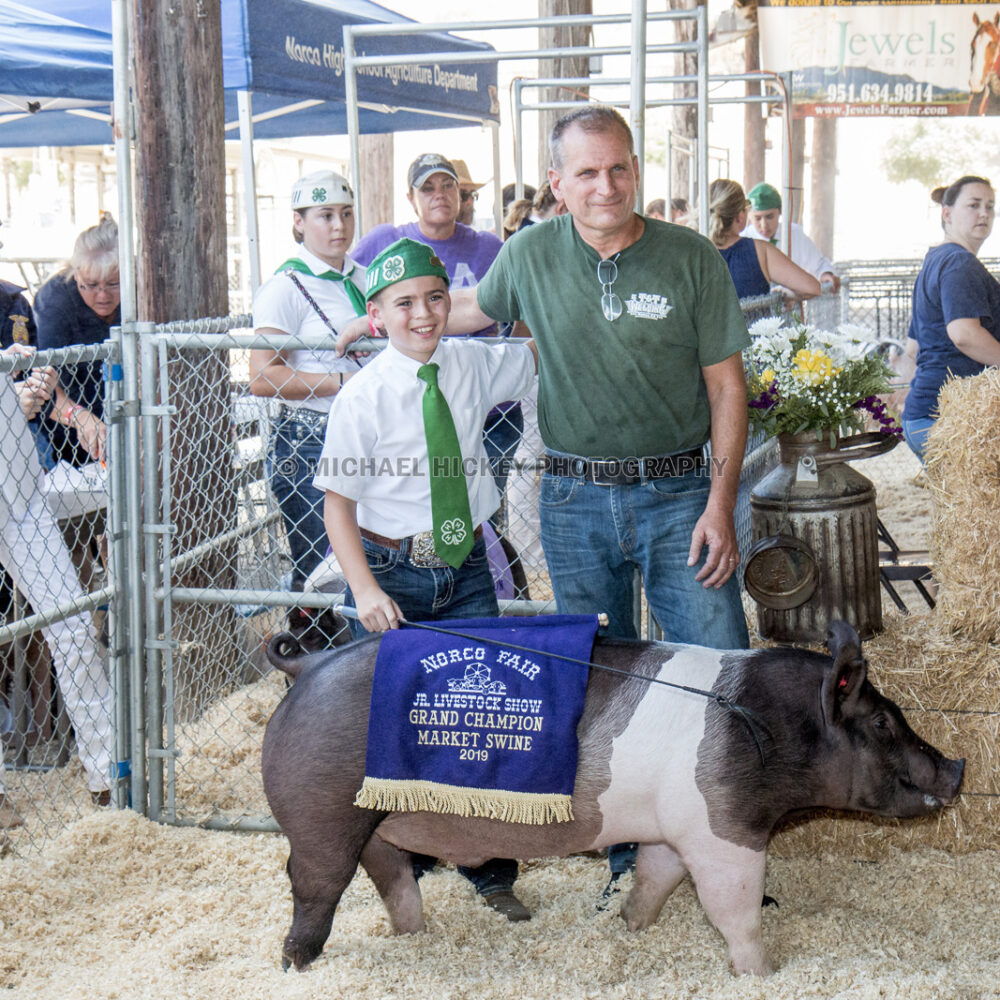 Jr. Livestock Show and Auction