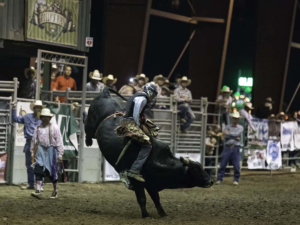 Ranch Rodeo / Bull Riding Events